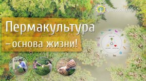 Пермакультура -  основа жизни!