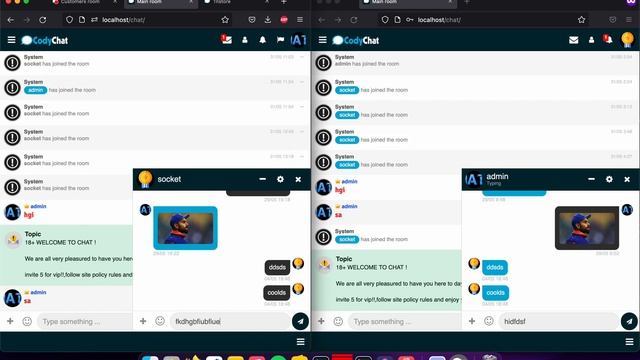 Codychat Socket version demo смотреть онлайн