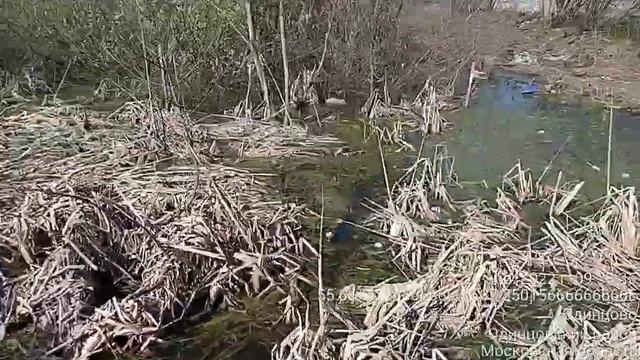 Станция Отрадное, Одинцовский округ. смотреть онлайн