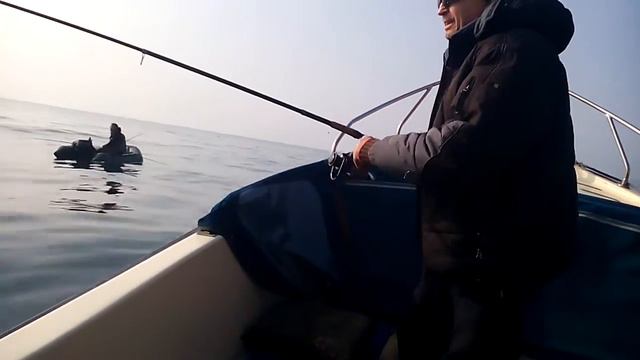 VID 20170219 150418 смотреть онлайн