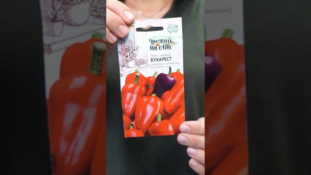 Сорта перца, которые подойдут для выращивания на подоконнике #Перец #рассада смотреть онлайн
