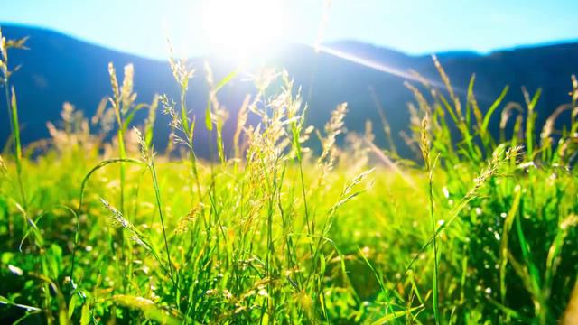 Книга Путешествия души. Ньютон М. Гл. 02 - 03 54 мин смотреть онлайн