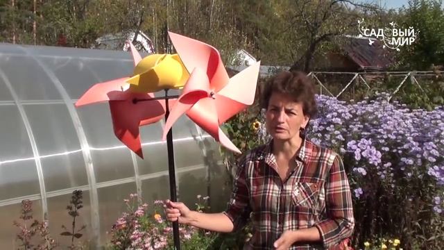 Кротов больше не будет! Все гениальное - просто! смотреть онлайн