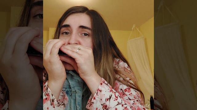 Shallow - harmonica cover смотреть онлайн