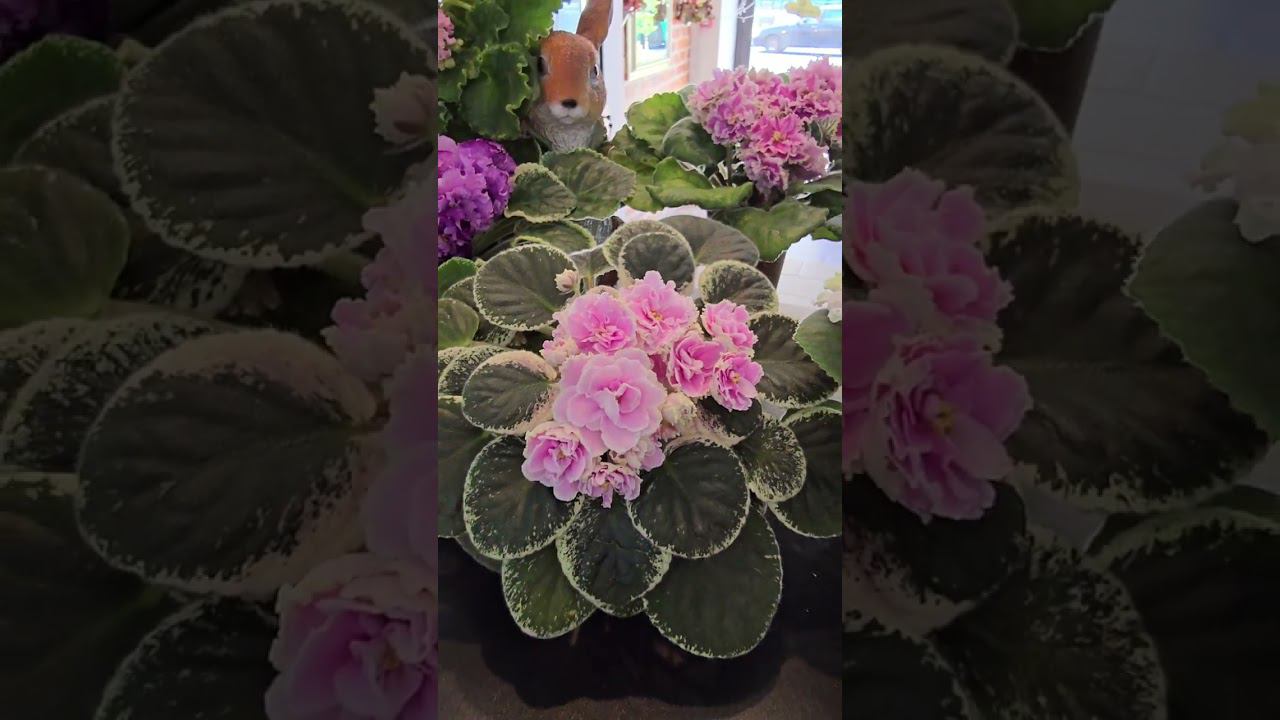 13 июня 2024 г. смотреть онлайн