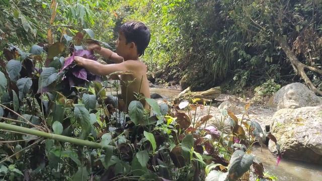 Orphan Boy Makes Gun And Sells Fish To Sleep At Home Wild Survival