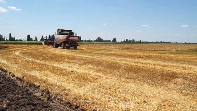 02-07-2021 г Уборка озимого ячменя в районе смотреть онлайн