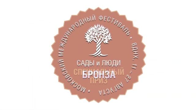 Видео-визитка смотреть онлайн