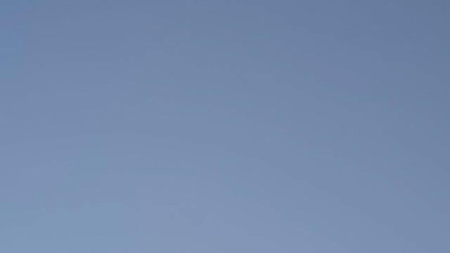Голуби Бакинцы и Иранцы ( первый раз в ночь остались) 130823 смотреть онлайн