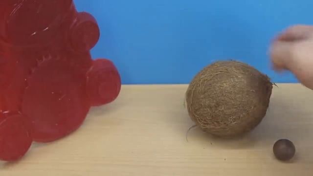 ЖЕЛЕЙНЫЙ ЧЕРВЯК ВАЛЕРА И ЖЕЛЕЙНЫЙ МЕДВЕДЬ ВАЛЕРА смотреть онлайн