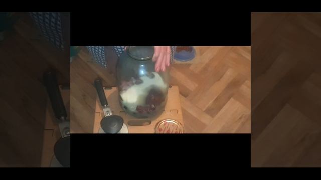 РЕЦЕПТЫ | КАМПОТ ИЗ КИЗИЛА смотреть онлайн