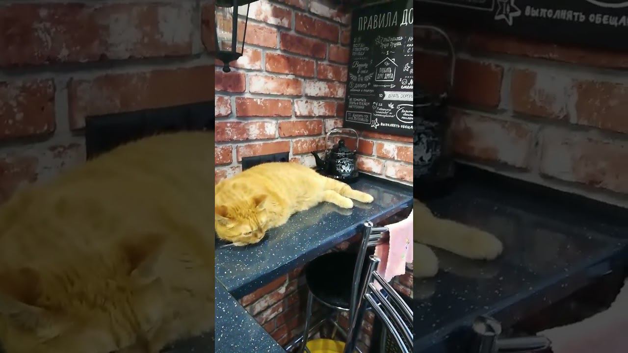 24 ноября 2023 г.