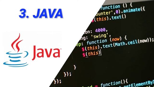 How Many ? Programming Languages Learn in BCA | BCA Student #bca | BCA Coding Language | @Nirajjha1 смотреть онлайн
