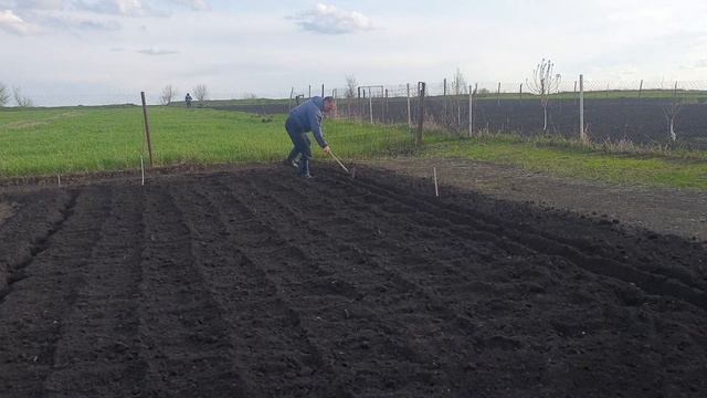 Сажаем огород в деревне? пришла проверить, что и как ? смотреть онлайн