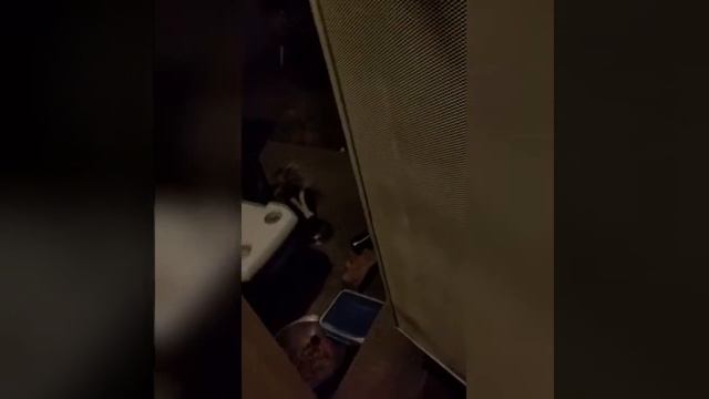 My Pet Skunk? смотреть онлайн