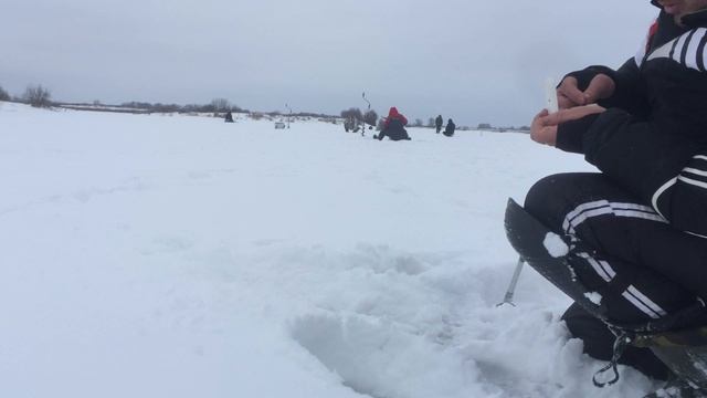 ПЛОТВА КЛЮЁТ В КАЖДОЙ ЛУНКЕ смотреть онлайн