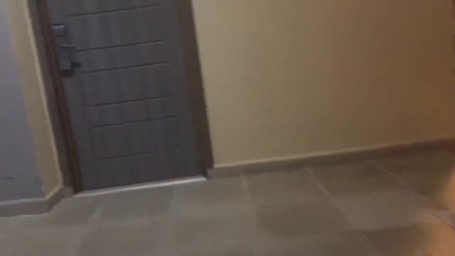 Petite vidéo de notre vacance au Pullman Cayo Coco ##pullmanhotel #pullmancayoco #cuba #cayococo смотреть онлайн