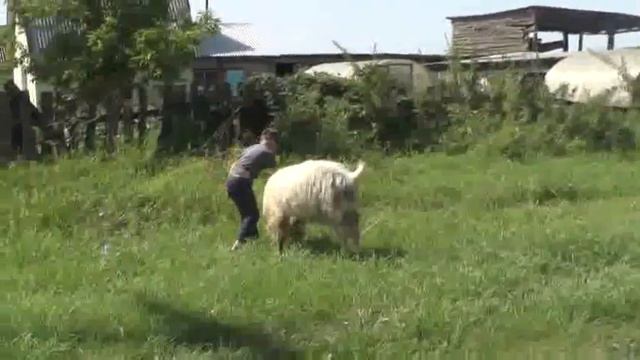 № 34. Этюды. смотреть онлайн