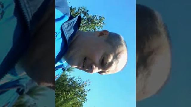 Можно ли собирать грибы смотреть онлайн
