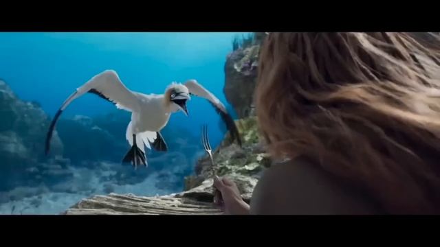 YMS: The Little Mermaid