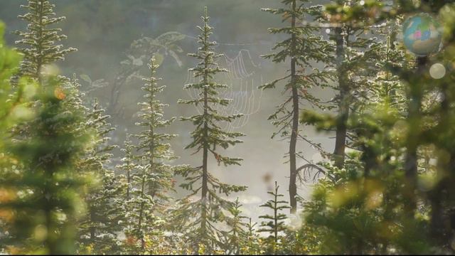 🌎🌟 🇷🇺 Россия. Озеро Радужное, Красноярский край смотреть онлайн