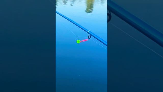 Рыбалка на озере Закидушка Донка смотреть онлайн