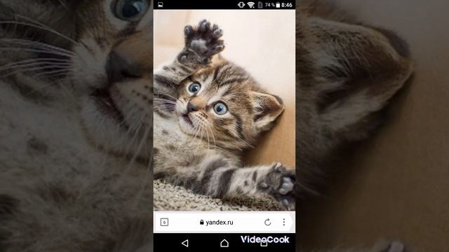 Посмотри это видео до конца смотреть онлайн