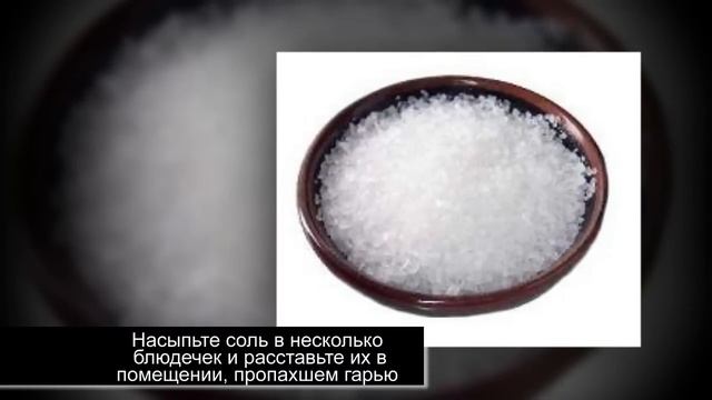 Запах гари: способы избавиться от запаха горелого смотреть онлайн