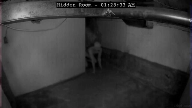 Ужасный Проект Зоны 51 Abigail! (РАЗОБЛАЧЕНИЕ!) МИСТИКИ смотреть онлайн