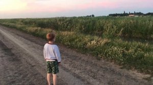 Кукурузники в поселке у бабушки