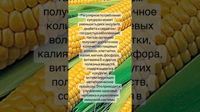 Польза кукурузы смотреть онлайн