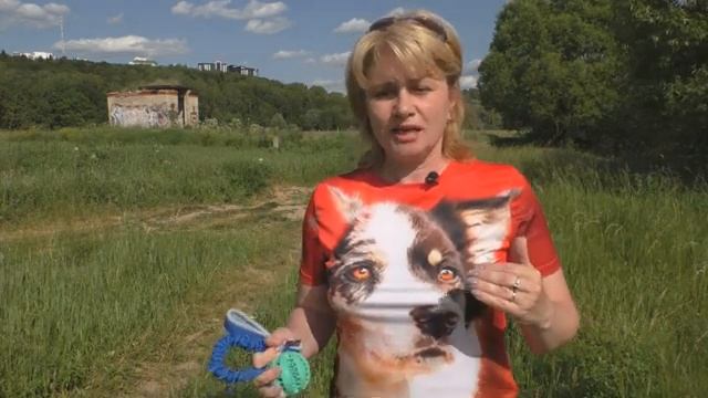 Как использовать игрушку для дрессировки собаки смотреть онлайн