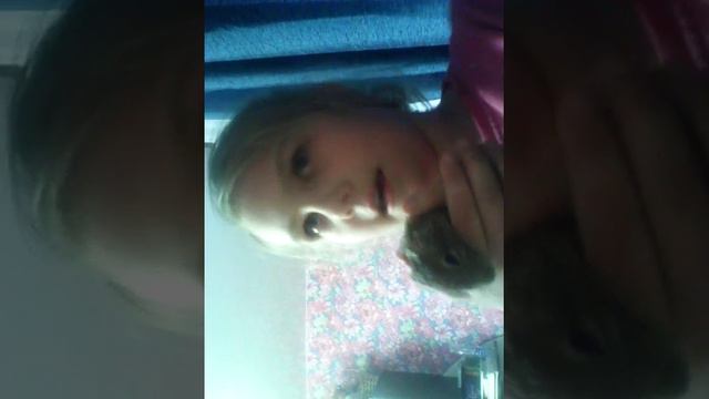 Что находится в клетке дегу #белкарулит.И вопросы на ответы смотреть онлайн