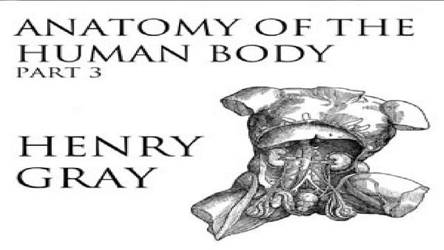 Anatomy of the Human Body, Part 3 (Gray's Anatomy) | Henry Gray | Medical | Audio Book | 2/7 смотреть онлайн
