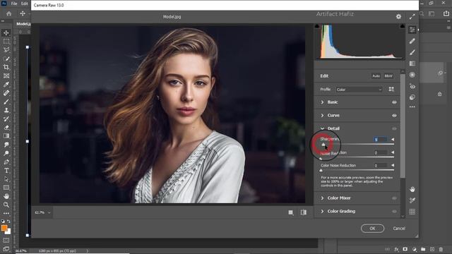 Professional Touch in a Portrait Editing Camera Raw Tutorial - Photoshop Tutorial смотреть онлайн