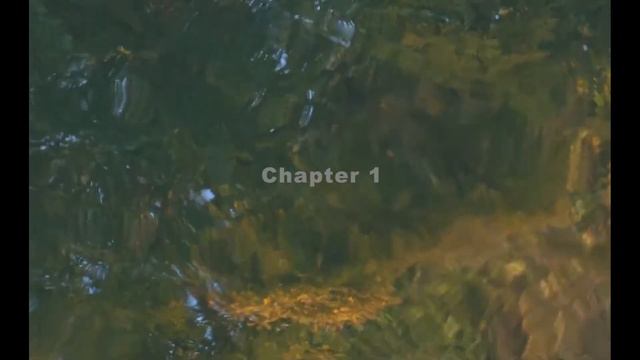 Middlemarch Chapter 1 смотреть онлайн