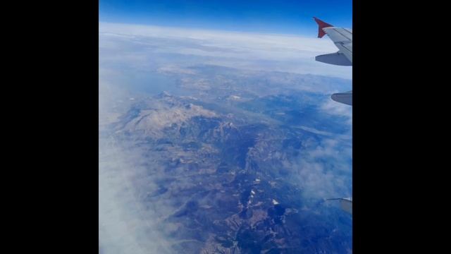 идеальное утро