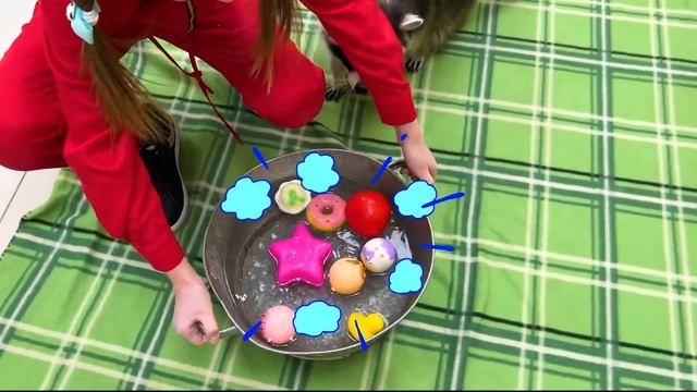 София как мама для Енотов! Веселое видео с домашними животными смотреть онлайн