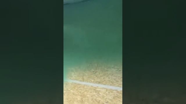 Архитектурный Мир