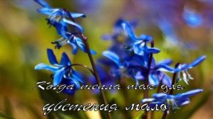 Умырзая (Подснежник)