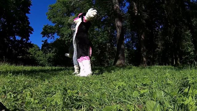 Fursuit Kamasutra {Adult Edition}