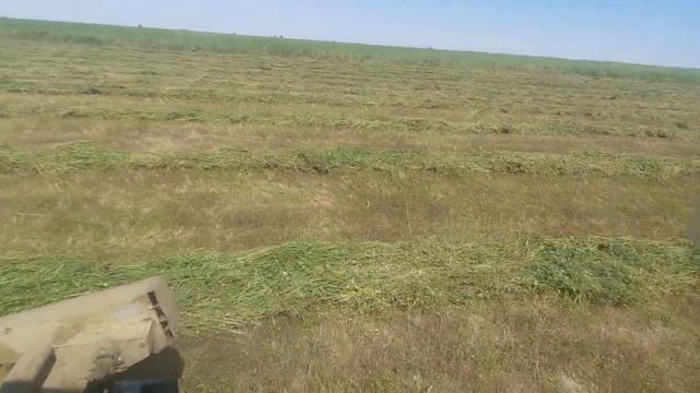 немка fortschritt e-303 люцерна камыч мия-солодка смотреть онлайн