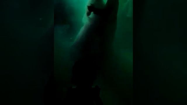 Супер свадьба в городе Приозерск смотреть онлайн