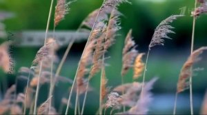 Россия живет дорогами.Реклама РЖД.