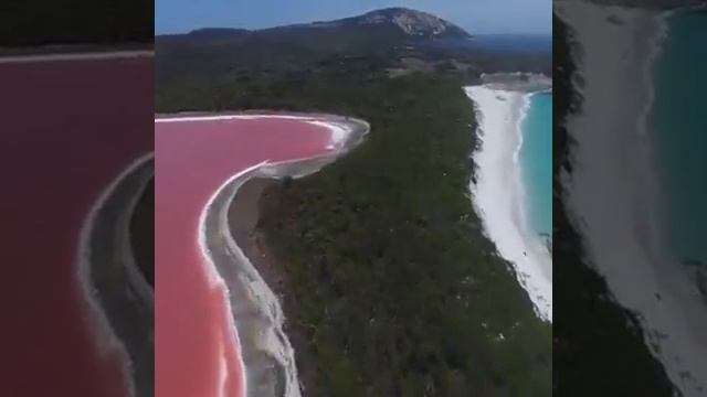 Austrialia Pink lake hiller|| See, enjoy& Share|| смотреть онлайн