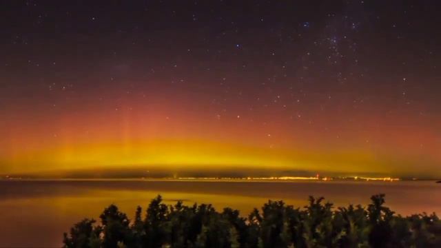 Eldar Mansurov-Taleyim