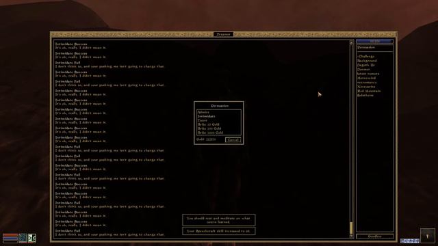 OpenMW 0.43 - Persuasion + Keyboard Controls = Profit?