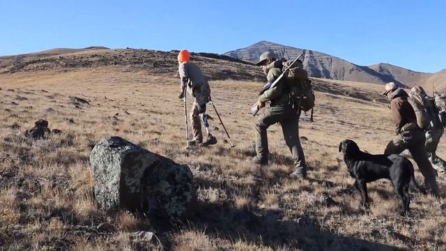 Kirsti Ennis Dream Hunt for a Wyoming Bighorn Sheep смотреть онлайн