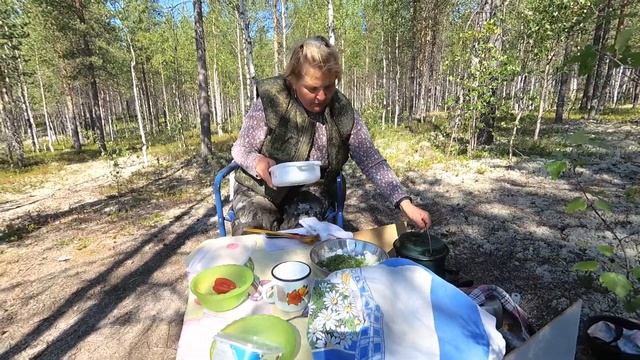 RIB Навигатор 370R. Озеро Нижняя Пиренга ч 2 Людмила поймала кумжу смотреть онлайн