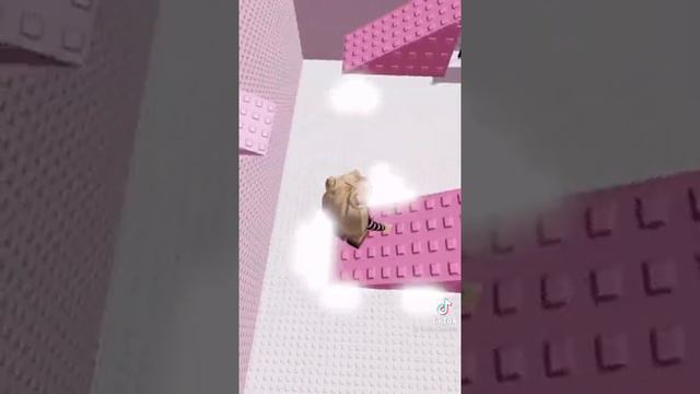 карты которые все ищут смотреть онлайн